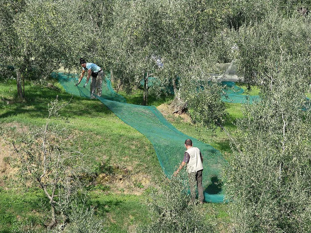 Farm stay B&B Hotel La Piana