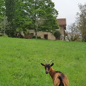 Stirpe Nel Bosco - Fiocco Appartamento