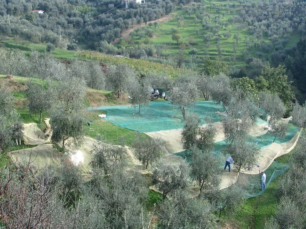 B&B Hotel La Piana Farm stay Borgo a Buggiano